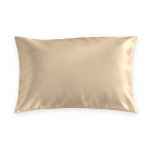 Beige mulberry silk pillowcase on a white background