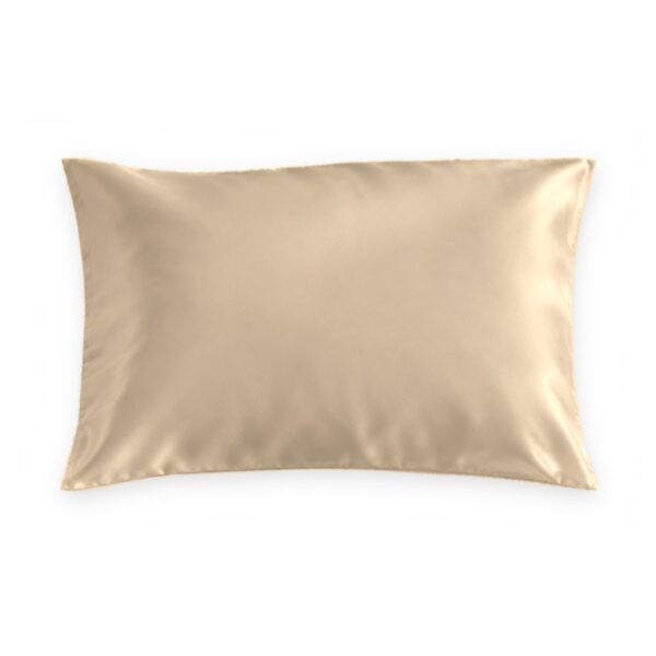 Beige mulberry silk pillowcase on a white background